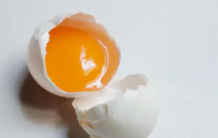 Egg